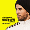Enrique Iglesias - MOVE TO MIAMI (Pink Panda Remix)