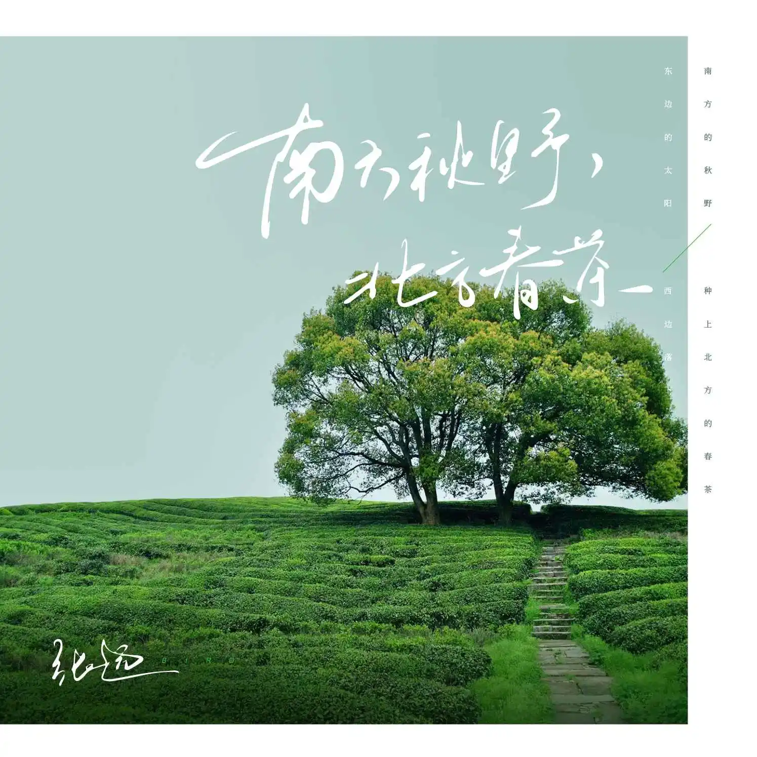 南方秋野，北方春茶 banner