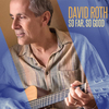David Roth - Goodness Is More Than a Dream