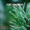 Fort Arkansas - Anthem No. 3 (Croatia Squad & Me & My Toothbrush Remix Edit)