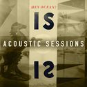 IS Acoustic Sessions专辑