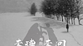 未读未回专辑