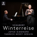 Schubert: Winterreise, Op. 89, D. 911: No. 10, Rast