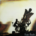 Cloudbusting