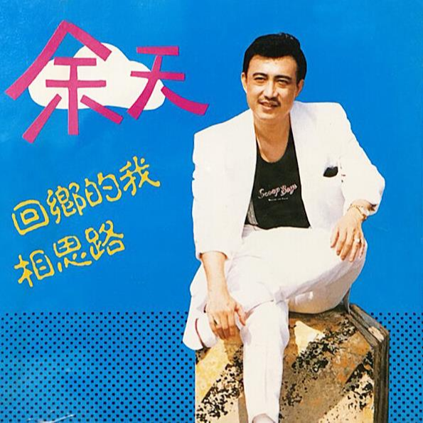 回乡的我 海报