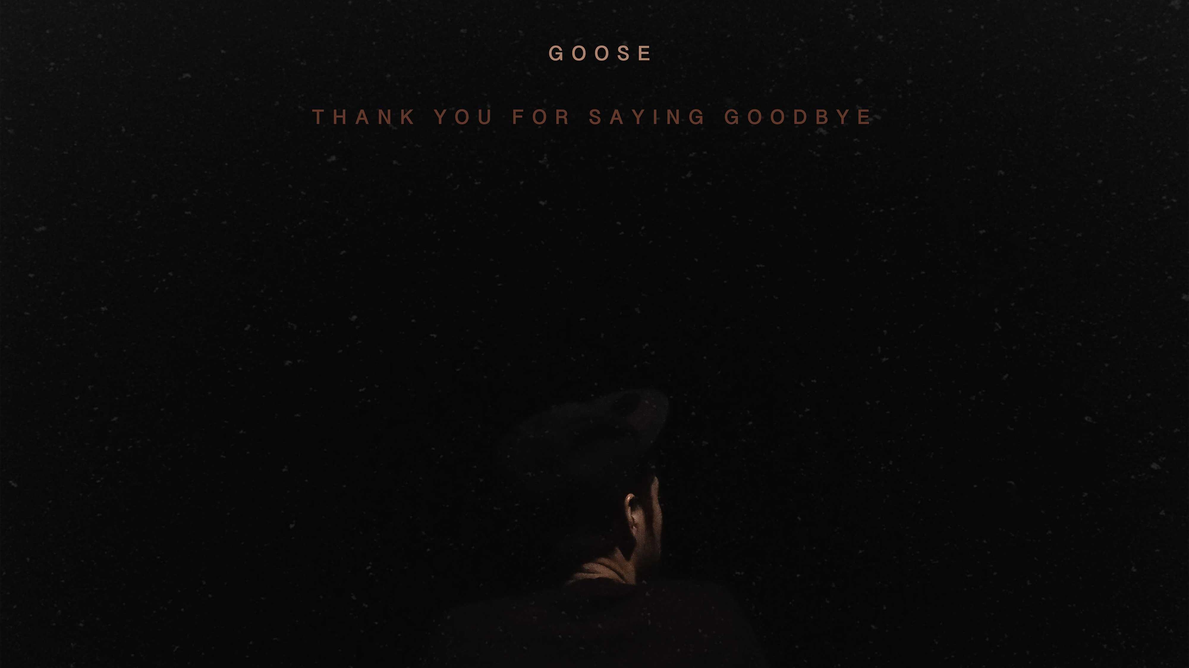 Goose 我鸟 - 谢谢你说再见