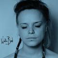 Wallis Bird