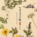 夏目友人帐