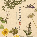 夏目友人帐