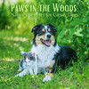 Sounds of Nature Noise - Paws in Paradise