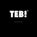 TEB!专辑