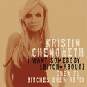 I Want Somebody (Bitch About) [Chew Fu Bitches Brew Refix]专辑