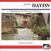 Caspar da Salo Quartet - Haydn String Quartet #53 In D major, op. 64, No. 5, H 363, 'The Lark' - Menuetto allegretto