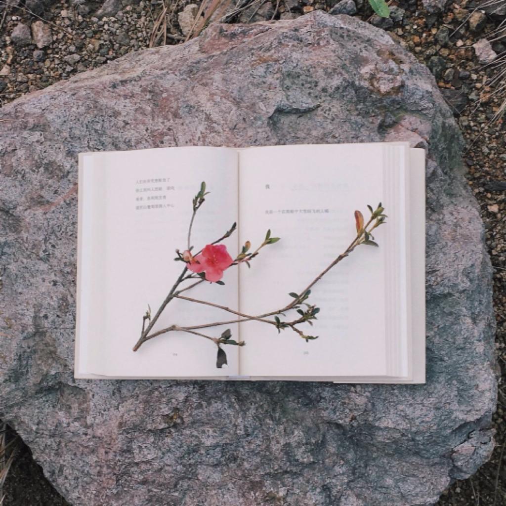 悲伤的曲子简谱分享_悲伤的曲子简谱图片下载