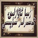 主播电台:awazlik asarlar toplimi