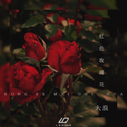 红色玫瑰花