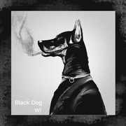 黑狗（Black Dog）