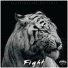 BeatBrothers - Fight