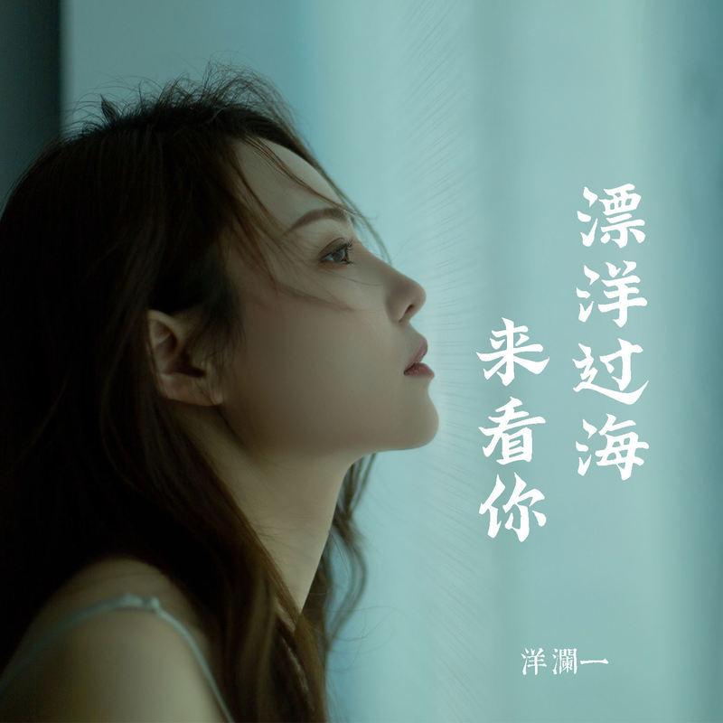 漂洋過海來看你 海報