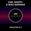 Carl Shorts - Frequencies Modulate (Original Mix)