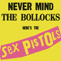 Never Mind The Bollocks, Here\'s The Sex Pistols (40th Anniversary Deluxe Edition)专辑