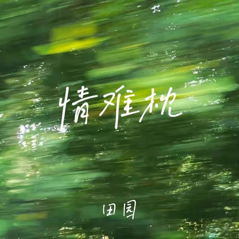 情难枕 banner