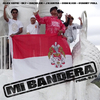 DJ D - MI BANDERA