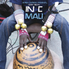 André de Ridder - Africa Express Presents... Terry Riley's In C Mali