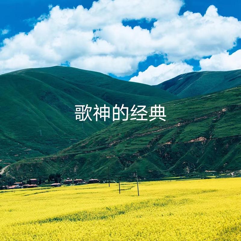 情網 海報