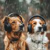 Music for Pets Library - Calming Rain for Playful Pets