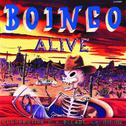 Boingo Alive专辑