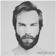 Saknaden