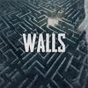 Cryptic Wisdom - Walls