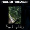 Foolish Triangle - Finding Dory