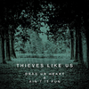 Thieves Like Us - Ain't It Fun