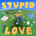 Stupid Love专辑