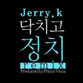 닥치고 정치 Remix