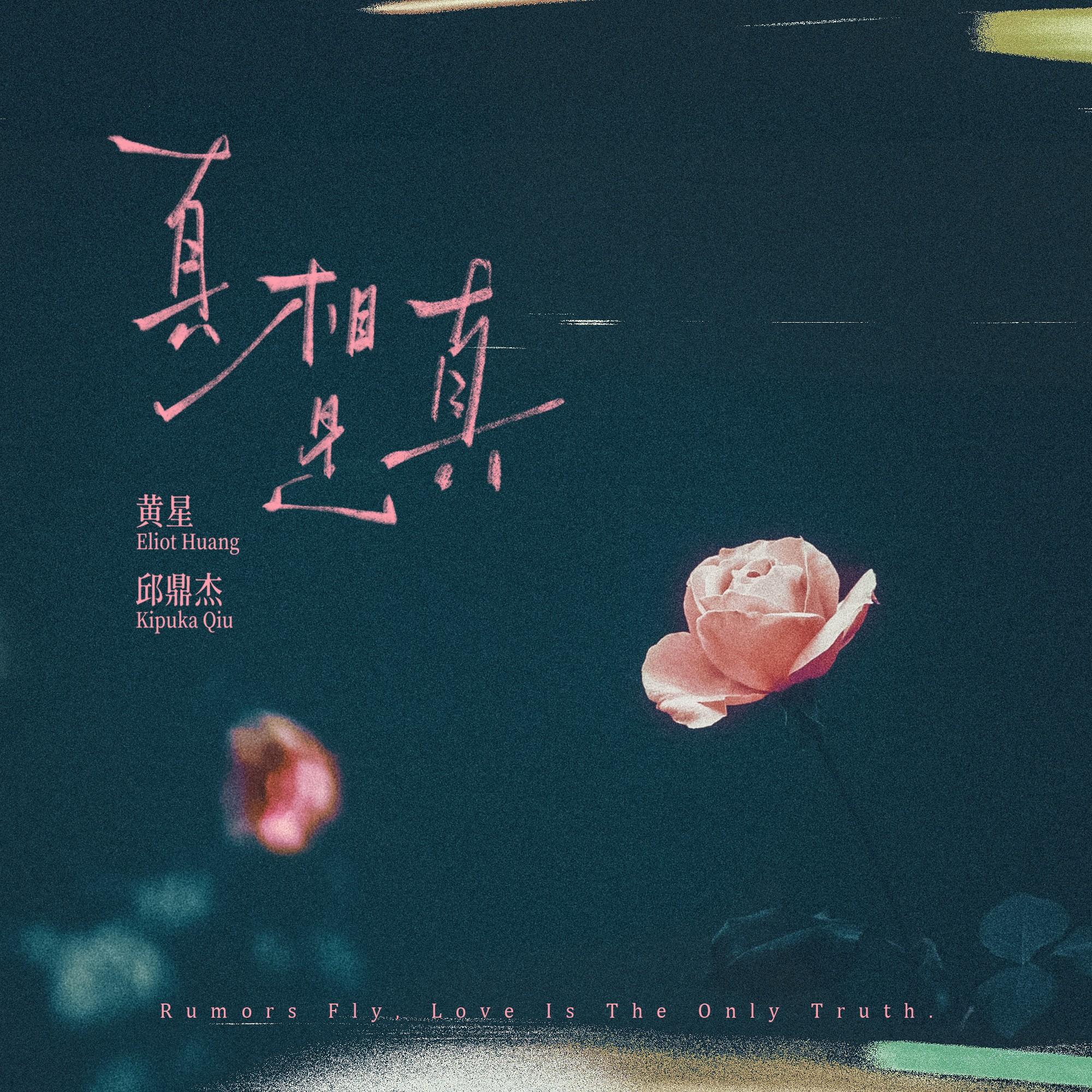 真相是真 海報