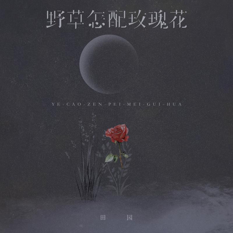 野草怎配玫瑰花 banner