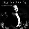 David Cassidy - Sweet Little Angel