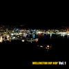 Wellington Hip Hop - Back In The Day
