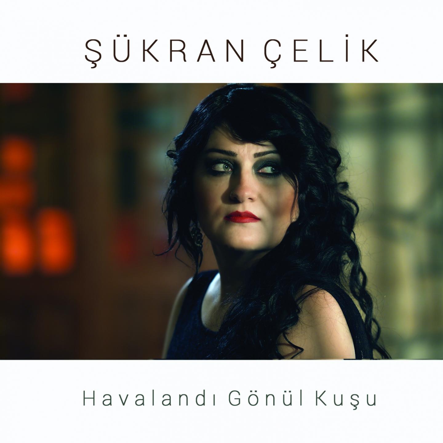 Havalandı Gönül Kuşu专辑