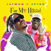 Jaywon - For My Head (feat. Spyro)
