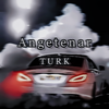 Bobina - Angetenar（Turk remix）