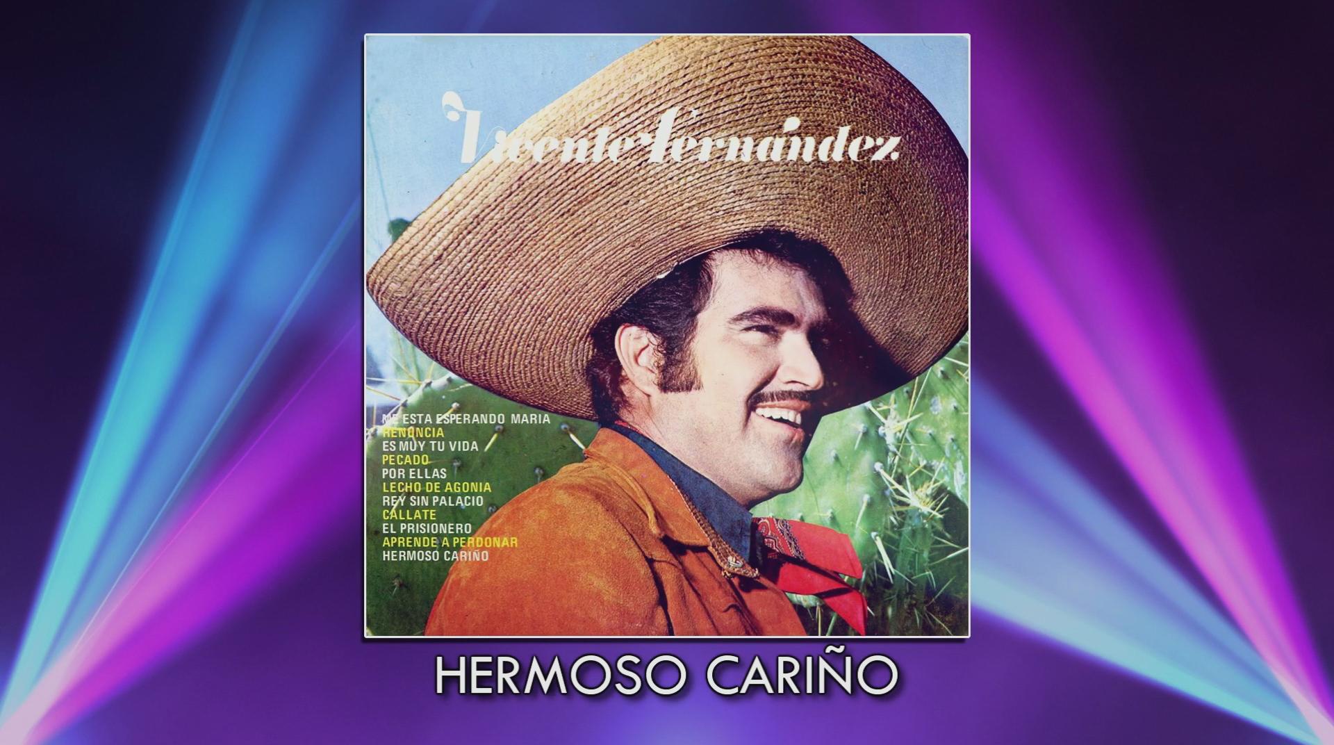 Vicente Fernández - Hermoso Cariño (Cover Audio)