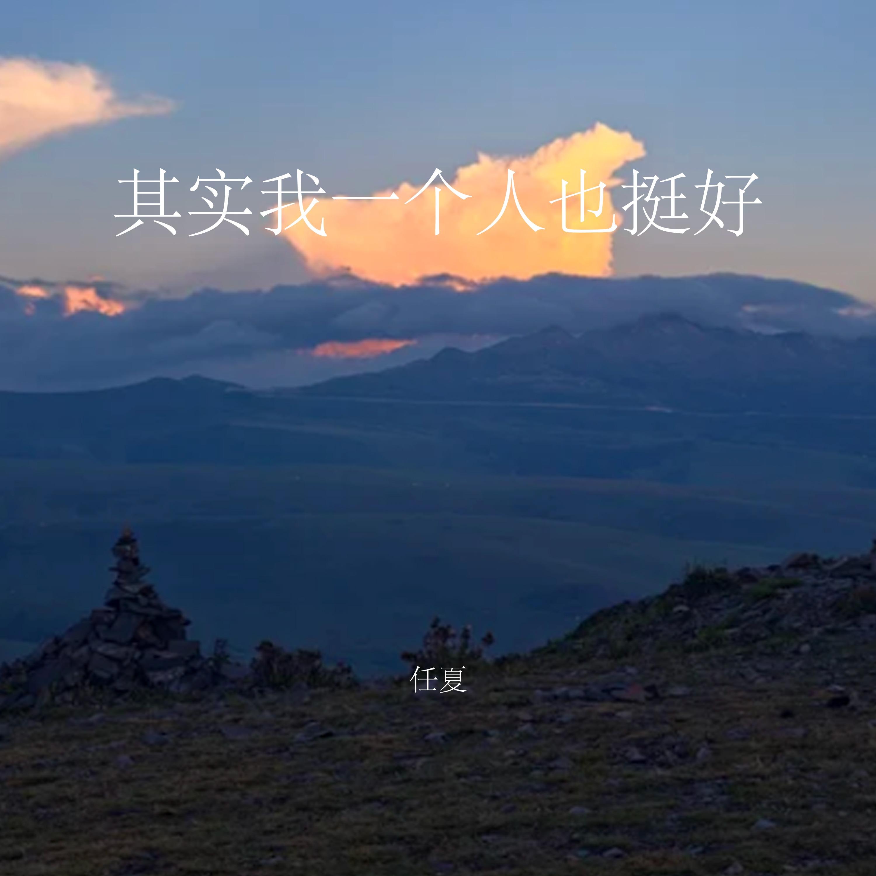 其實我一個人也挺好 海報