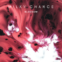 Blossom (Single Version)专辑