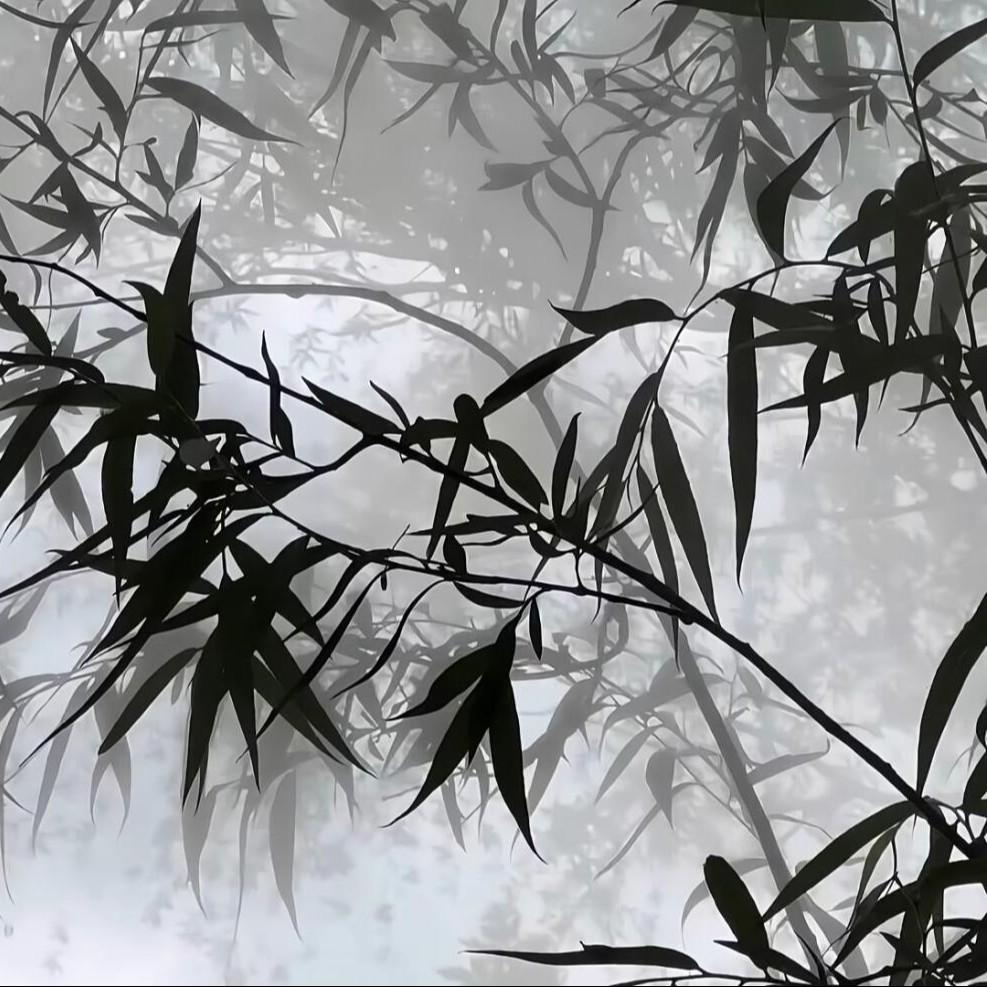 谪仙 海报