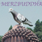 Merzbuddha专辑