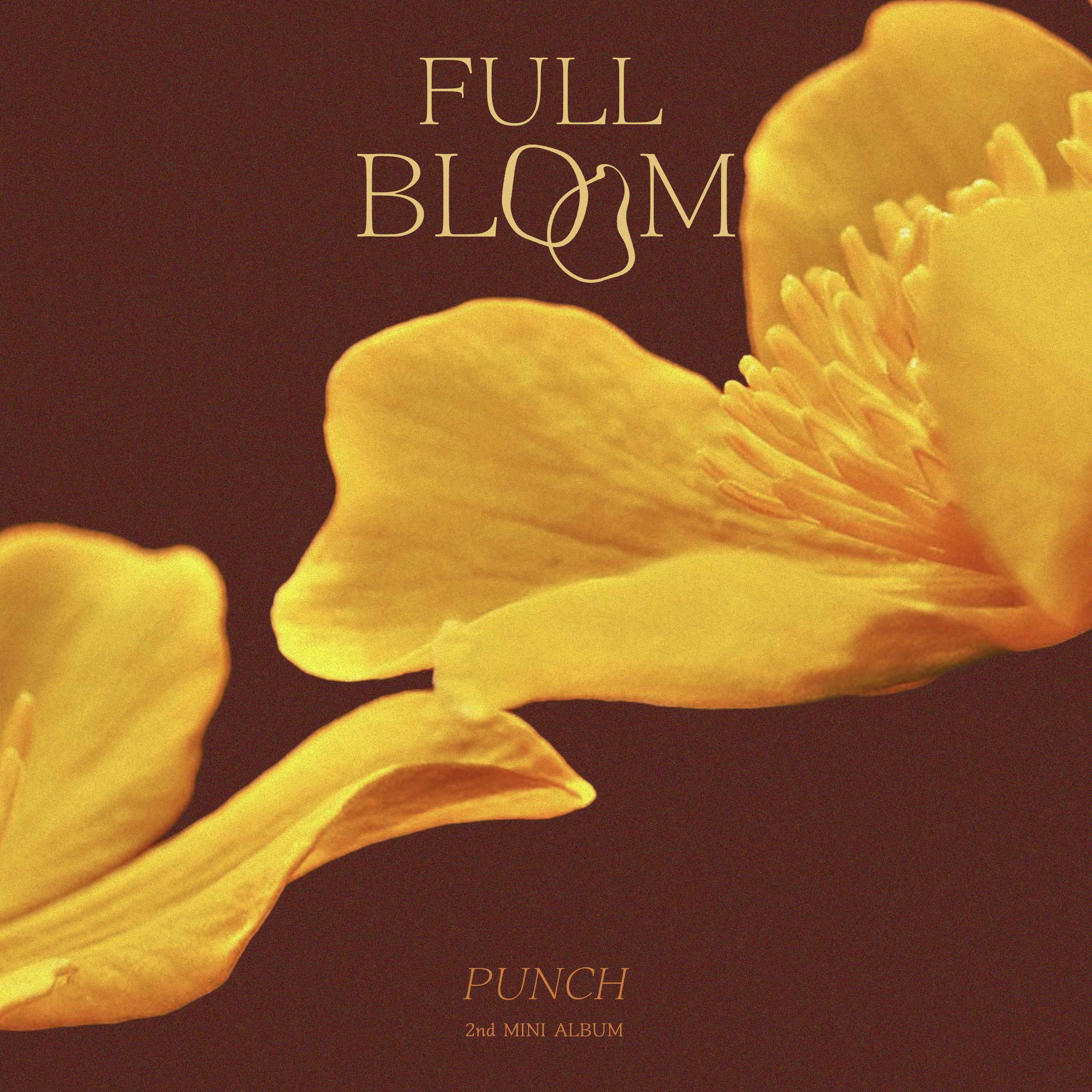 Full Bloom (만개)专辑